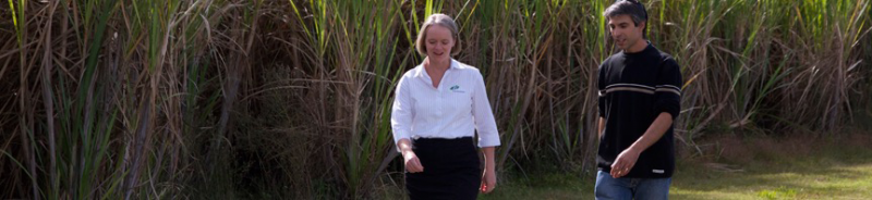 Maclean NSW Accountant Brisbane