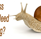 Avance - Accountant Brisbane