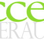 Access Super Audit Pty Ltd - Accountant Brisbane