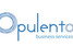 Opulento Business Services - thumb 0