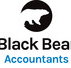 Black Bear Accountants - Accountant Brisbane