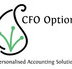CFO Options - Accountant Brisbane
