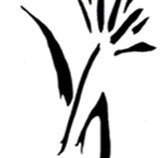 Bloomfield  Associates - Accountant Brisbane