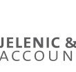 Jelenic  Co Pty Ltd - Accountant Brisbane