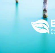 Fresh Accounting Solutions - Accountant Brisbane