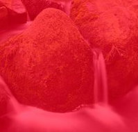 RedFrog Bookkeeping - Accountant Brisbane