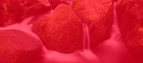 RedFrog Bookkeeping - Accountant Brisbane 0