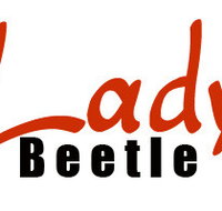 Lady Beetle Business Solutions - Accountant Brisbane
