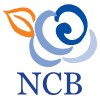 NCB Business Bookkeeping Services - Accountant Brisbane 0